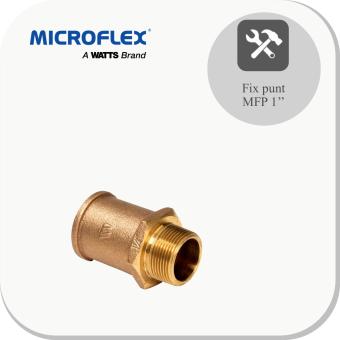 Fixpunt MFP 1''