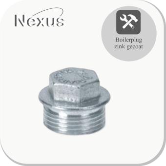 Gegalvaniseerde plug 2”